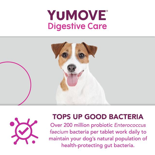 YuMOVE Dog Digestive Health Probiotics Supplement   120 per pack GOODS M&S