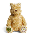 Harrods Winnie the Pooh teddy bear 24cm (British brand)