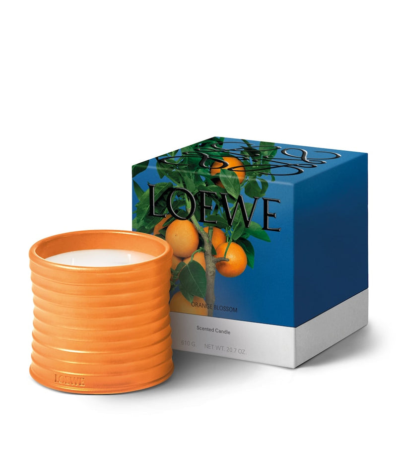 LOEWE Orange Blossom candle 1.5kg, UK version