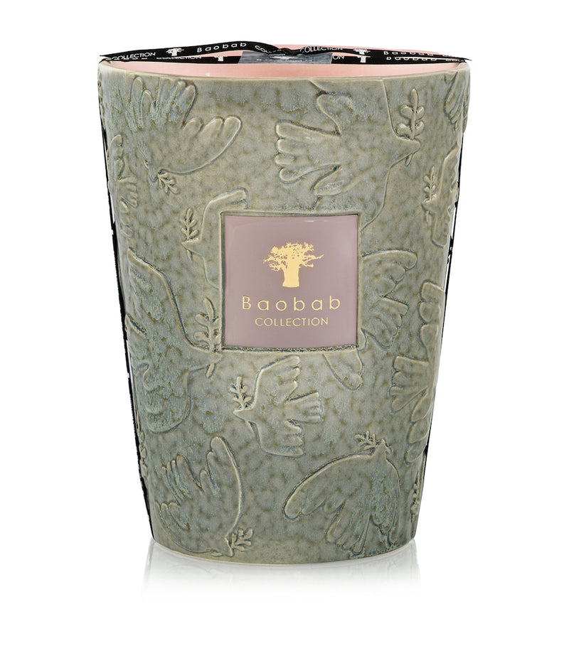 Baobab Collection Colombe scented candle 6kg, imported from the UK