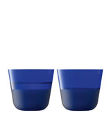 Harrods LSA International Arc Contrast Tumblers Set of 2 Tumbler Glasses 260ml- Buy online at McGrocer