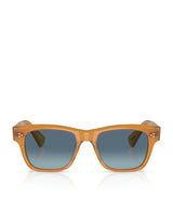 Harrods Oliver Peoples Acetate Birell Sun Sunglasses- Buy online at McGrocer