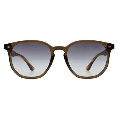 Superdrug Ted Baker TB1655 Dock Brown Gradient Unisex Sunglasses- Buy online at McGrocer