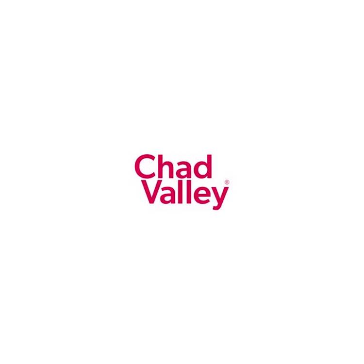 Chad Valley baby guitar lights and sounds (British brand)