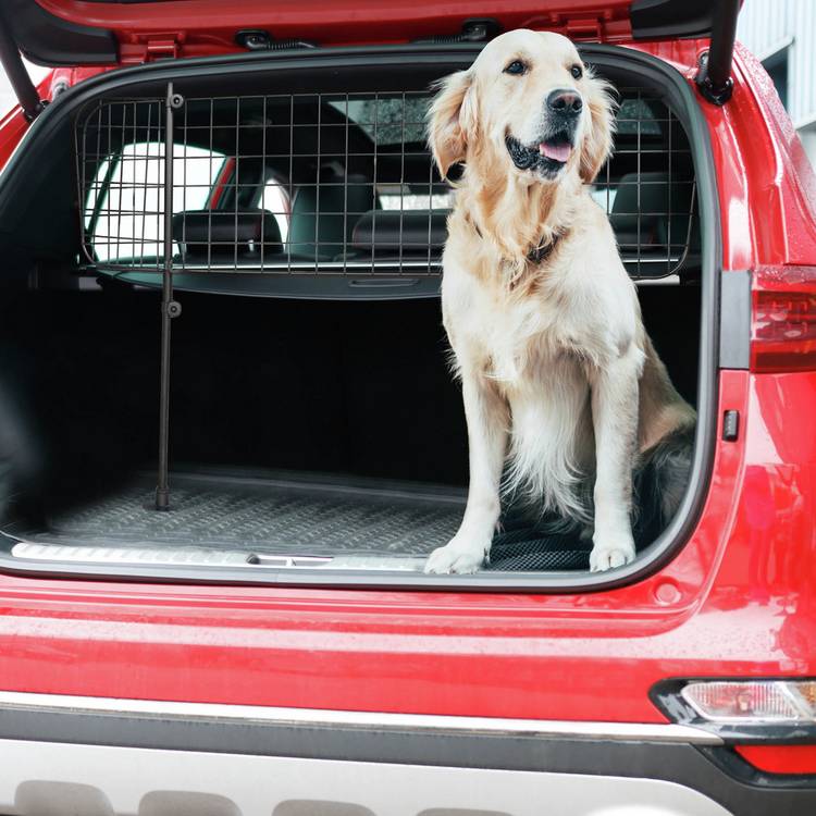 Streetwize heavy-duty mesh car dog guard adjustable (British brand)