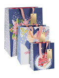 Hallmark set of 3 blue illustrated gift bags, imported from the UK
