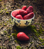 Wedgwood Wild Strawberry Inky Blue bowl 11cm (British brand)