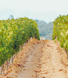 Hanikon Côtes de Provence 2025 rosé wine 75cl, UK version