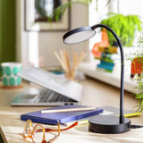 Argos Habitat Mopsa LED Desk Lamp Black- Buy online at McGrocer