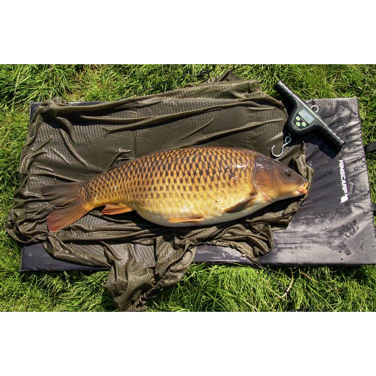 Matt Hayes digital fishing scales 55kg, imported from the UK