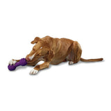 PetSafe Busy Buddy Chuckle dog toy - British product