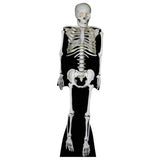 Argos Star Cutouts Skeleton Cardboard Cutout- Buy online at McGrocer