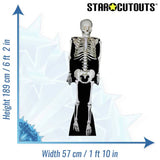 Star Cutouts skeleton cardboard cutout life-size (British brand)