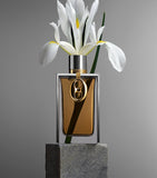 Rabanne Silver Skin Eau de Parfum 125ml, UK version