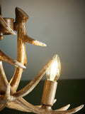 Natural Antler ceiling light resin 3-bulb 50cm (British brand)