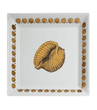 Fornasetti Square Giro di Conchiglie Plate 20cm x 20cm - British product