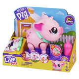 Little Live Pets Piggly Pig walking toy - British product