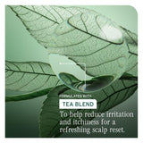 Biolage Scalp Sync Conditioner 236ml (British brand)