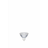 Argos Argos Home 3.1W LED GU5.3 Light Bulb - 2 Pack- Buy online at McGrocer