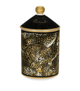 Harrods Dolce&Gabbana Casa Porcelain Patchouli Scented Candle 340g- Buy online at McGrocer