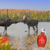 47° North organic maple syrup 1l, imported from the UK