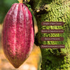 Aduna Super-Cacao Premium Blend Cacao Powder 275g - British product