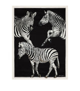 Harrods Dolce&Gabbana Casa Silk Zebra Quilted Throw 140cm x 180cm- Buy online at McGrocer