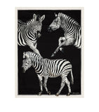 Dolce&Gabbana Casa Silk Zebra Quilted Throw 140cm x 180cm - British product