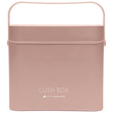 Rio Lush Box large beauty storage case with LED mirror, UK version
