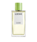 LOEWE cucumber room spray 150ml, UK version