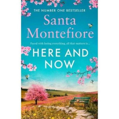 Santa Montefiore Here and Now paperback book, imported from the UK