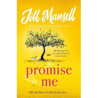 Promise Me by Jill Mansell paperback book - British product
