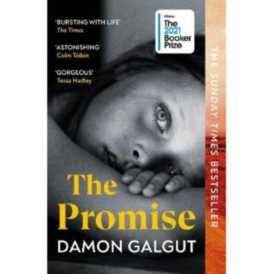Damon Galgut The Promise paperback book, UK version