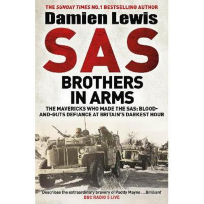 Damien Lewis SAS Brothers in Arms paperback book (British brand)