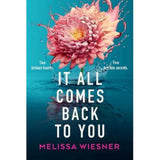 Melissa Wiesner It All Comes Back to You paperback romance novel (British brand)