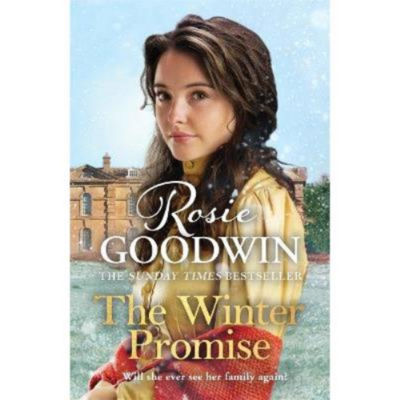 Rosie Goodwin novel Winter Promise paperback - British product