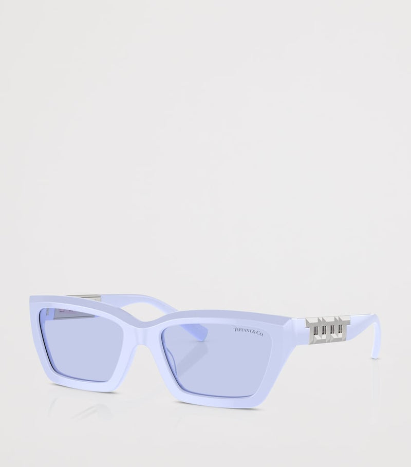 Tiffany & Co. acetate sunglasses TF4213 - British brand