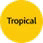 Pacific Wax Co Tropical Sunset small jar candle, imported from the UK