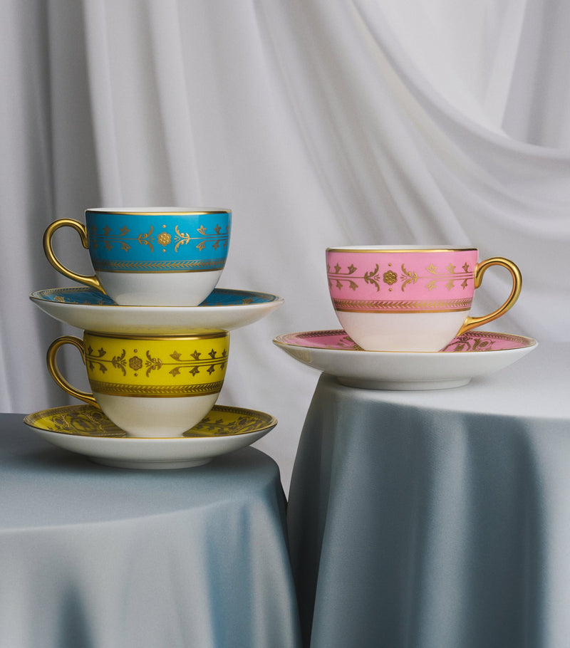 Wedgwood Bacchus teacup and saucer with 175ml capacity (British brand)