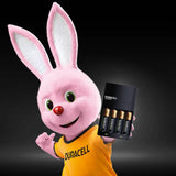 Duracell AA AAA battery charger 4-hour (British brand)
