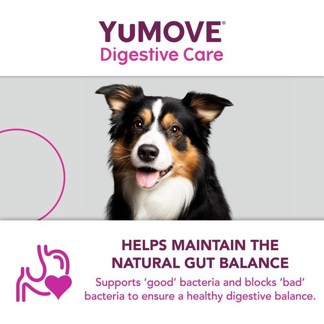 YuMOVE PLUS Dog Digestive Health  Supplement   6 per pack GOODS M&S
