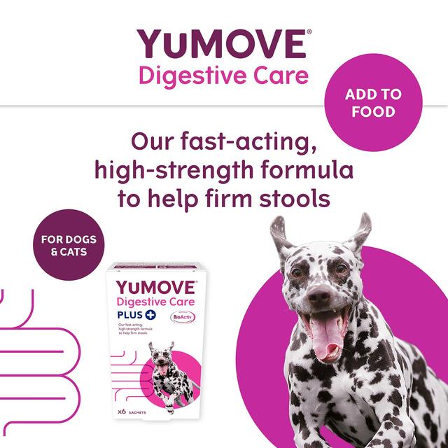 YuMOVE PLUS Dog Digestive Health  Supplement   6 per pack GOODS M&S