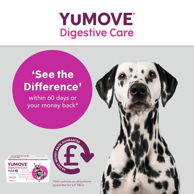 YuMOVE PLUS Dog Digestive Health Supplement   60 per pack GOODS M&S