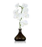 Senti Orchid Diffuser Pepper & Spice 250ml (British brand)