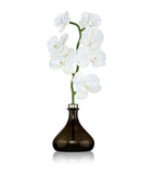 Senti Orchid Diffuser Pepper & Spice 250ml (British brand)