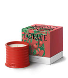 LOEWE Tomato Leaves candle 170g, UK version