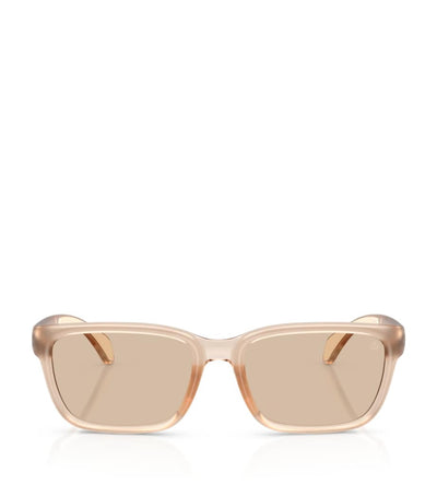 Harrods Moncler Injected Slicka ME8002 Sunglasses- Buy online at McGrocer