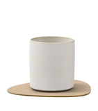 LIND DNA curve corduroy coasters set of 4, UK version