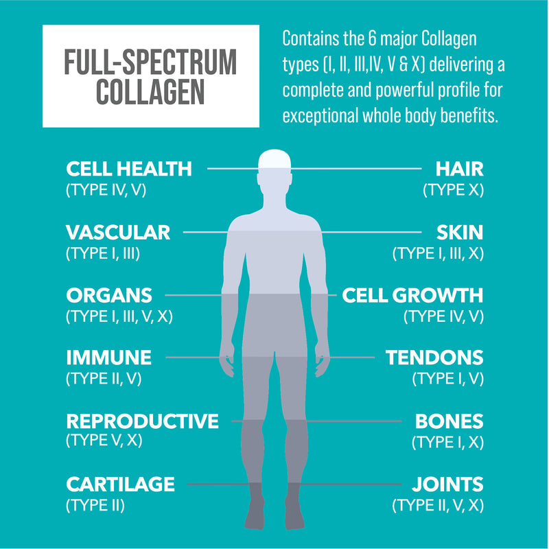 NaturesPlus Collagen Powder with Vitamin C 588g, UK version