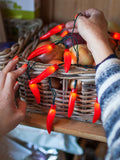 Lights4fun red chilli pepper lights 20 LED - British product